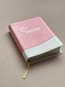 ORTHODOX STUDY BIBLE PDF FREE DOWNLOAD visual data 8